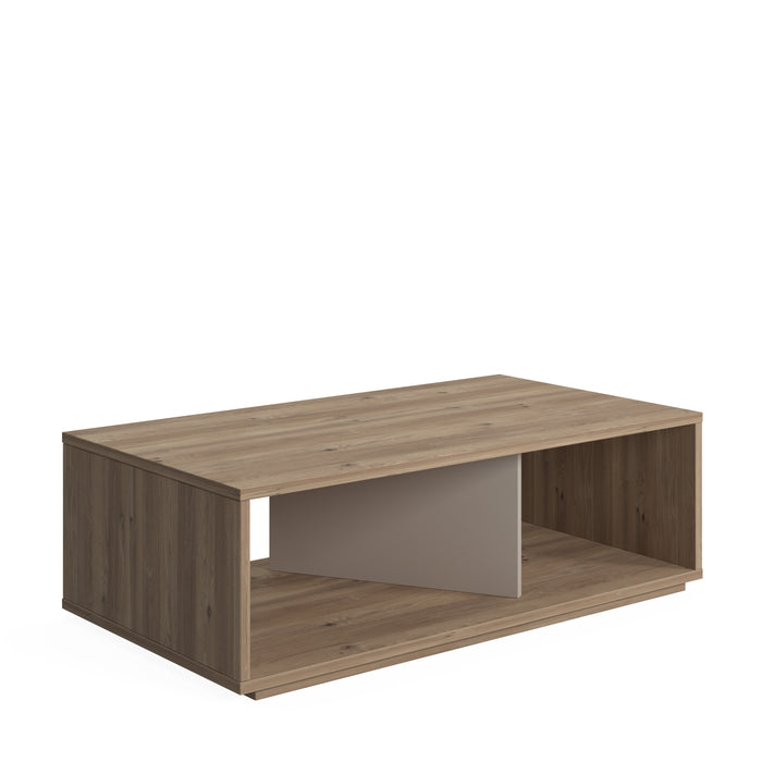 Cury Coffee Table with Storage by Ruumstore